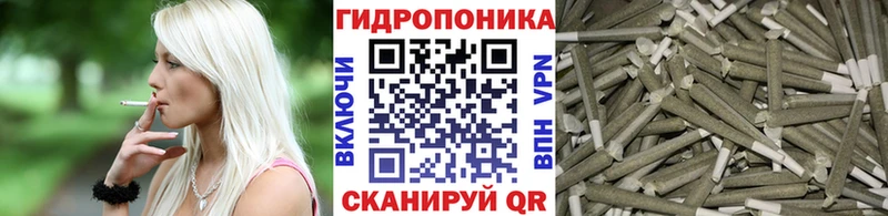 это клад  Анжеро-Судженск  Каннабис план 